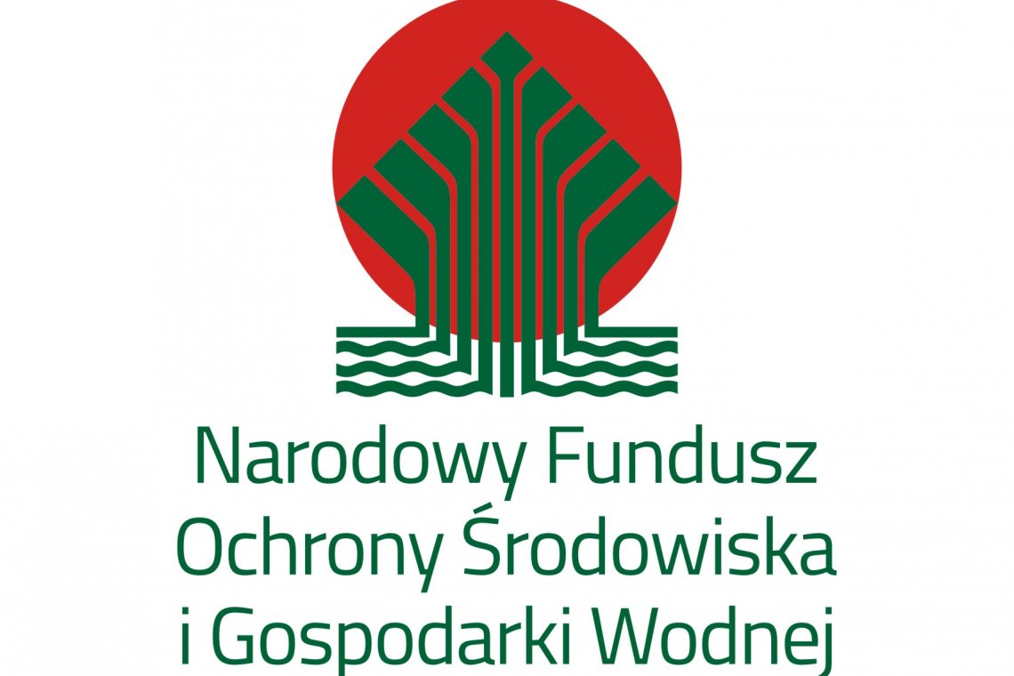 Strategia Rozwoju Elektromobilności dla  Powiatu Wejherowskiego do roku 2035